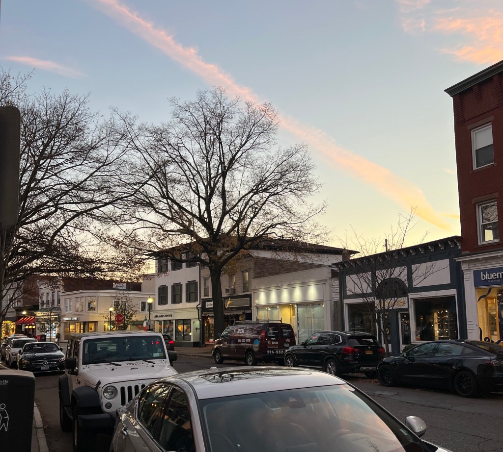 Local Businesses in&nbsp;Rye