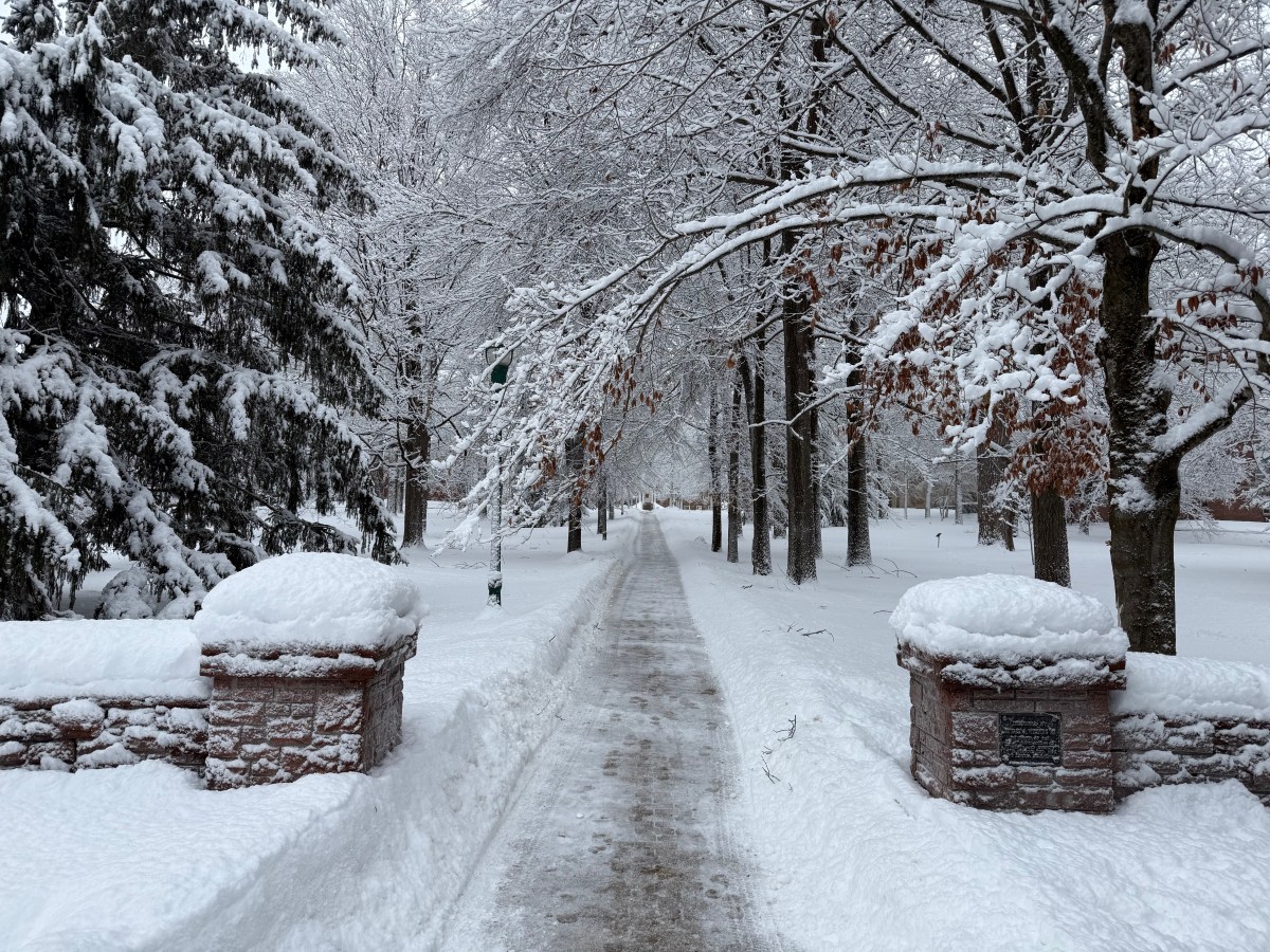 Something Special About&nbsp;Canton