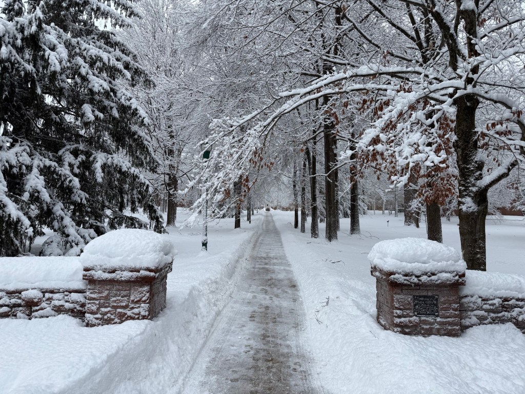 Something Special About&nbsp;Canton